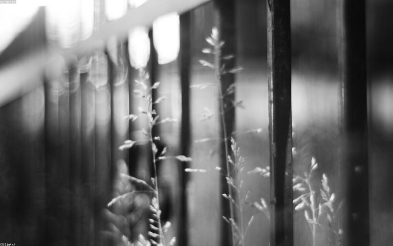 Keeping a Wire Fence Sound Through Years of Weather and Wear