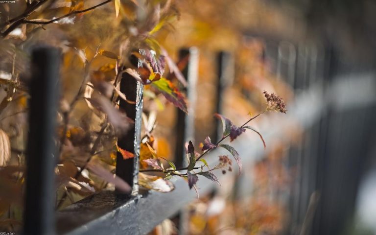 From Gabions to Living Walls: Welded Mesh Beyond the Fence Line